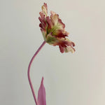 Dekorační květina The Tulip Bell Stems