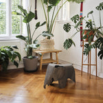 Stolička Eames Elephant Plywood