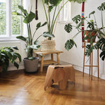 Stolička Eames Elephant Plywood