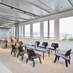Křeslo Plywood Group LCW