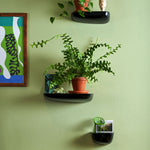 Nástěnná police Corniches