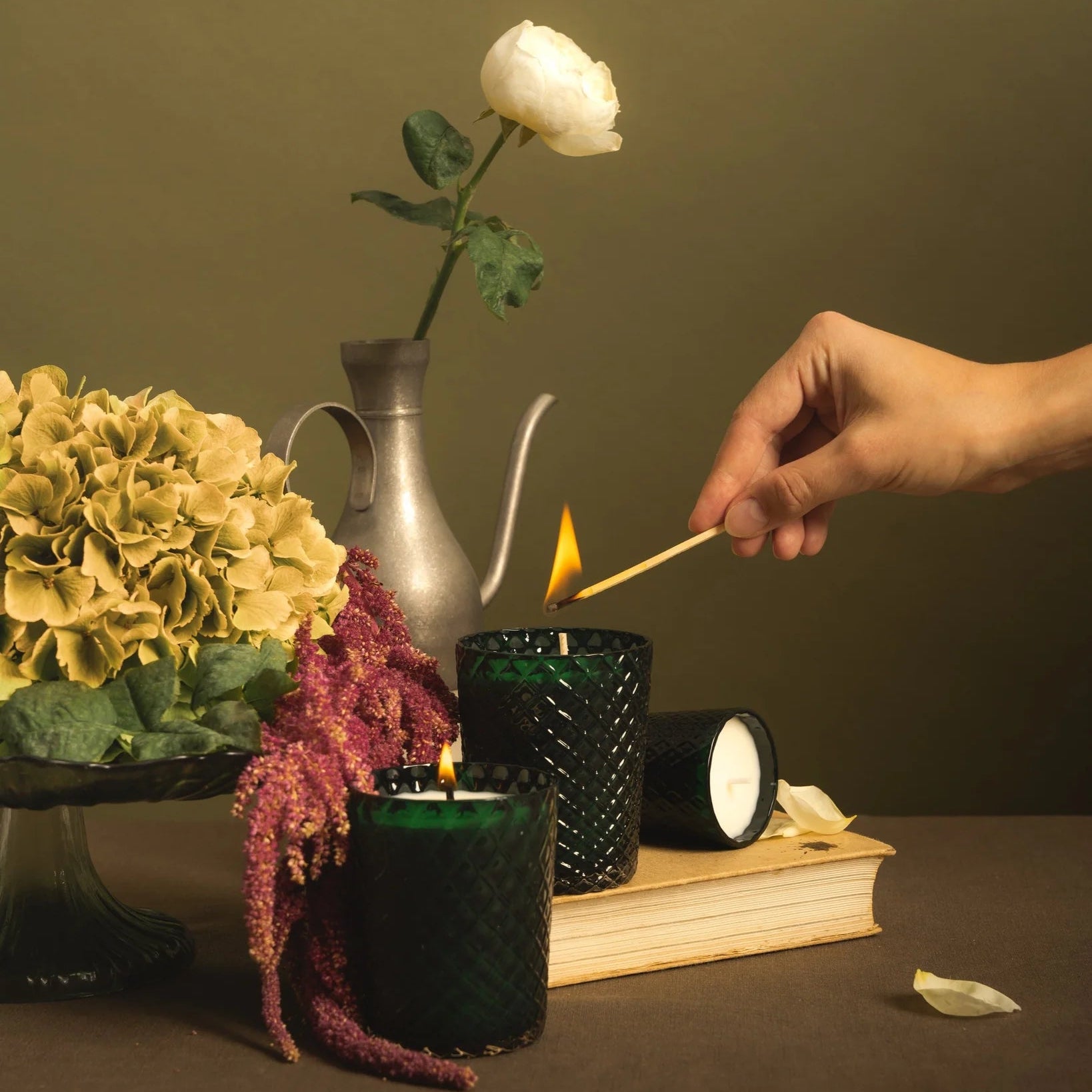 Brand Carousel Image 1